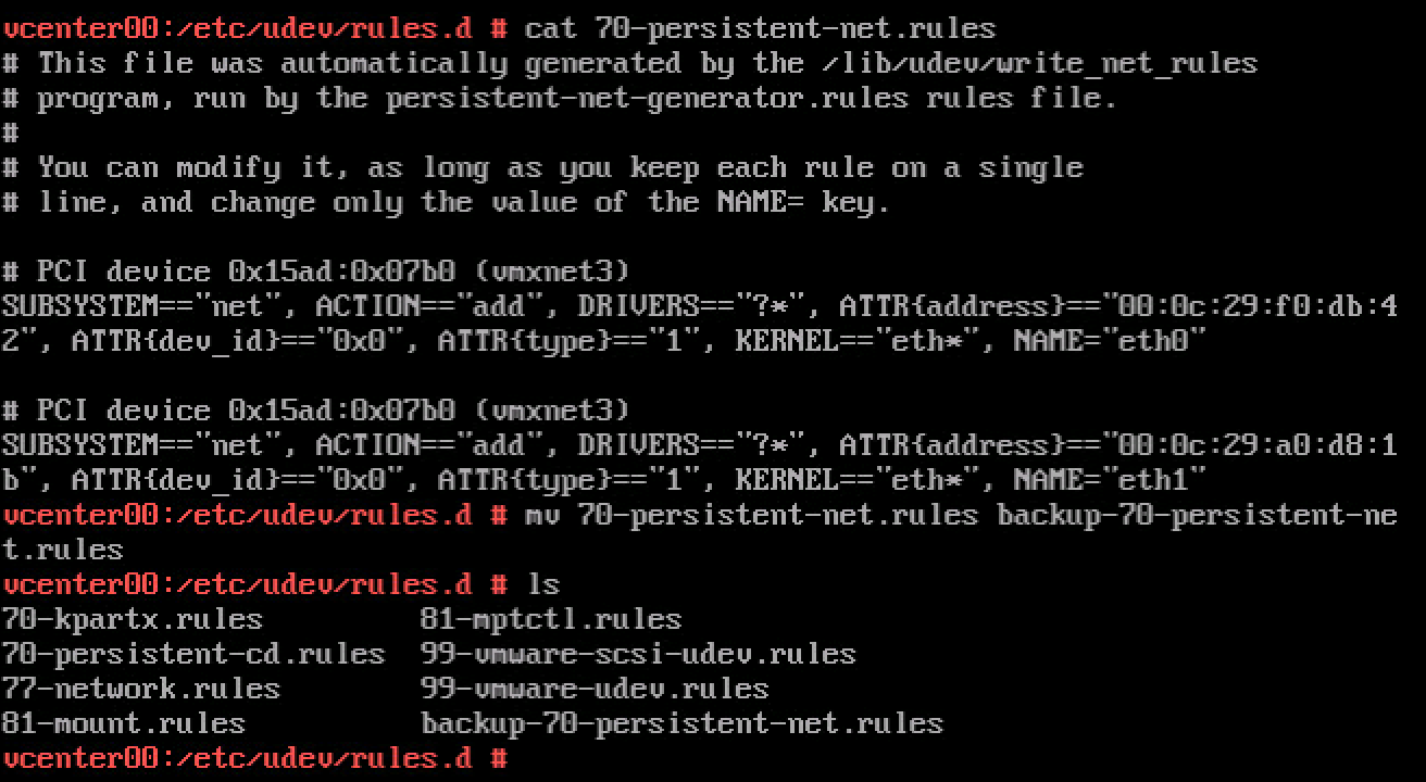 08-VCSA-rename udev file